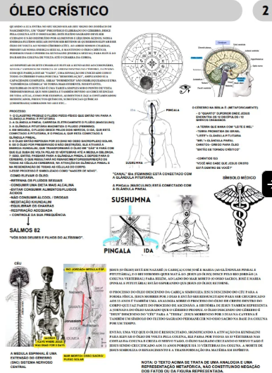 Captura de tela 2025-07-19 012646