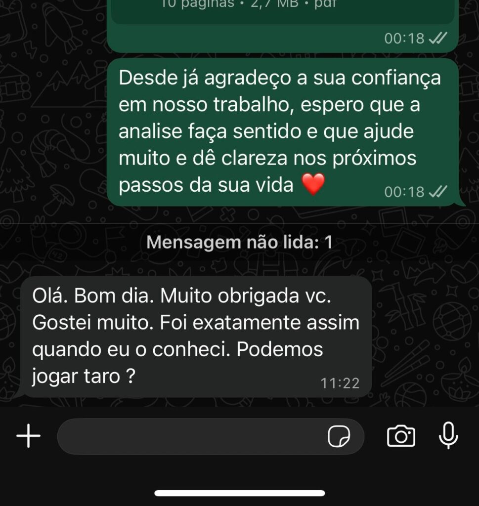 Imagem do WhatsApp de 2025-11-15 à(s) 00.29.30_9e071853