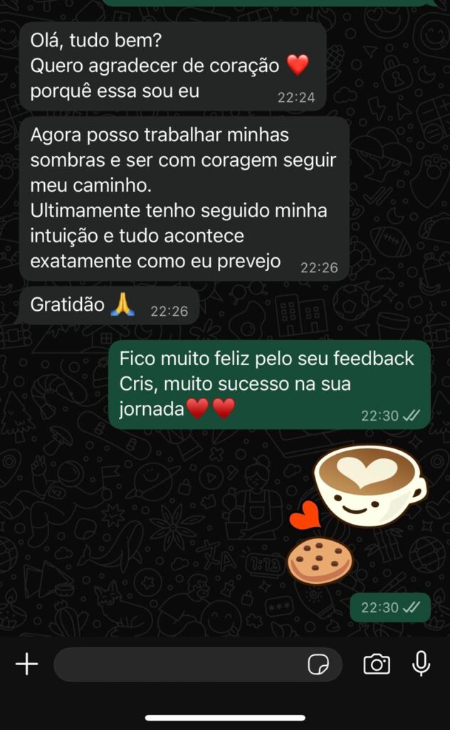 Imagem do WhatsApp de 2025-11-15 à(s) 00.29.30_cd4ff30d