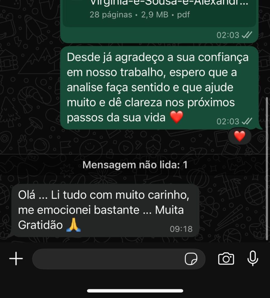 Imagem do WhatsApp de 2025-11-15 à(s) 00.29.30_e19c92e6