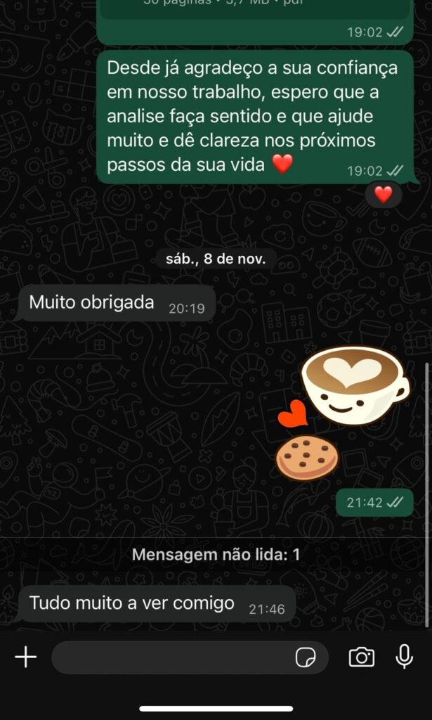 Imagem do WhatsApp de 2025-11-15 à(s) 00.29.31_1e417cd3