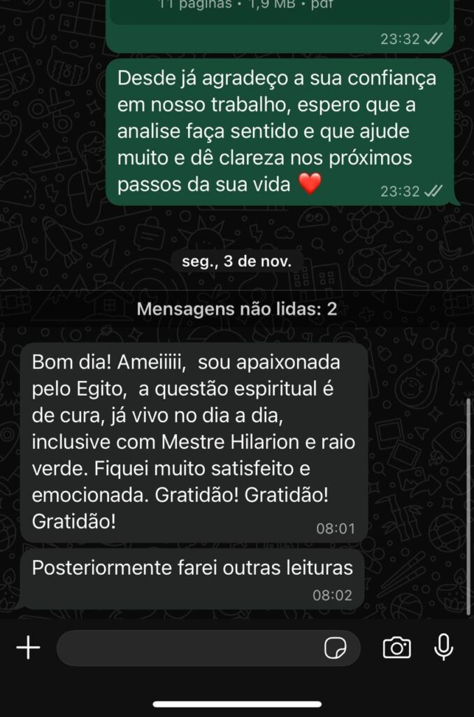 Imagem do WhatsApp de 2025-11-15 à(s) 00.29.31_2215bcaa