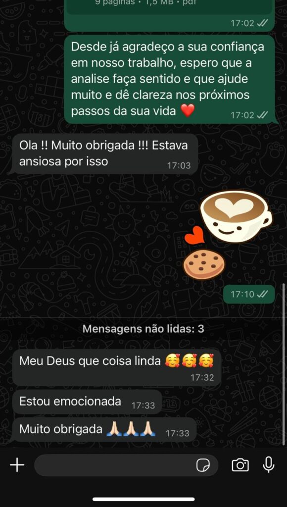 Imagem do WhatsApp de 2025-11-15 à(s) 00.29.31_32a9de4f