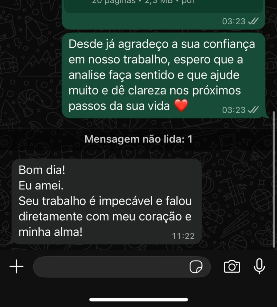 Imagem do WhatsApp de 2025-11-15 à(s) 00.29.31_36ff183b