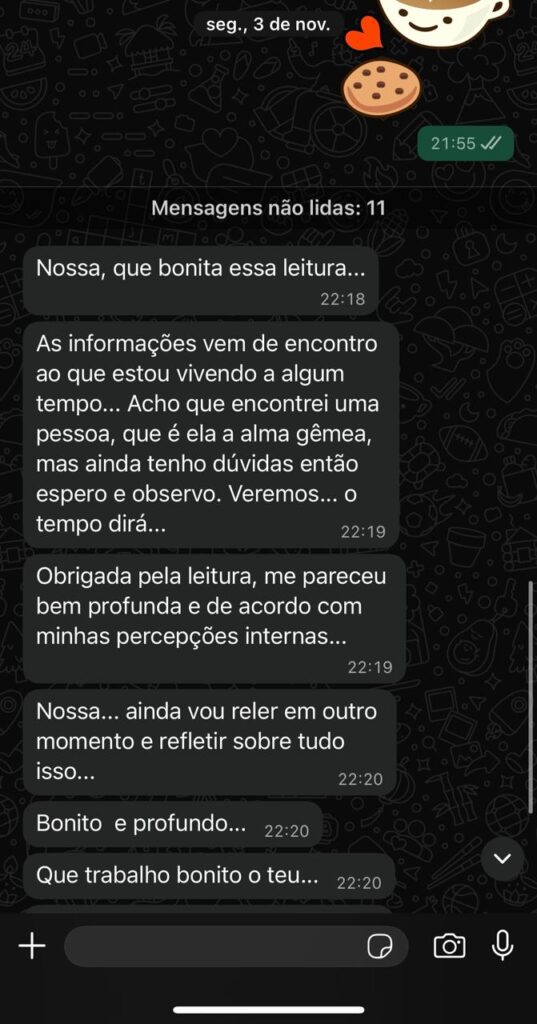 Imagem do WhatsApp de 2025-11-15 à(s) 00.29.31_6aa21749