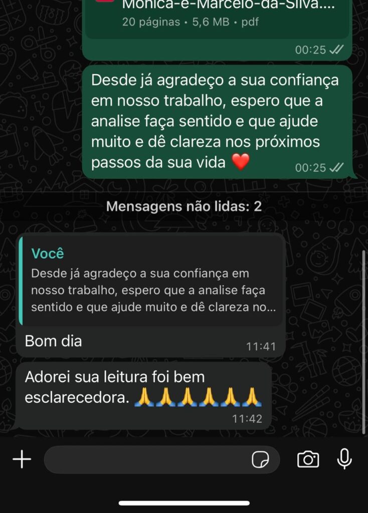 Imagem do WhatsApp de 2025-11-15 à(s) 00.29.31_6d2bc0d6