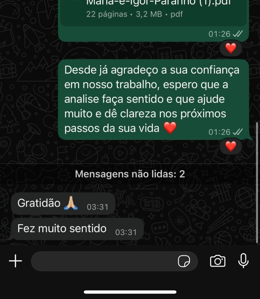 Imagem do WhatsApp de 2025-11-15 à(s) 00.29.31_cfd671d2